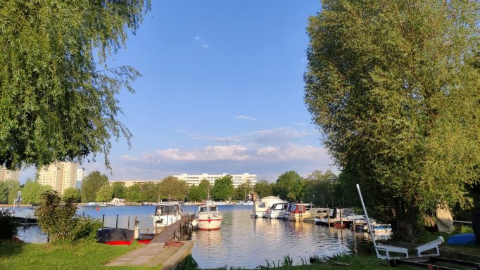 Frühsommerlicher Blick auf den Hafen des MBC Potsdam e.V. 